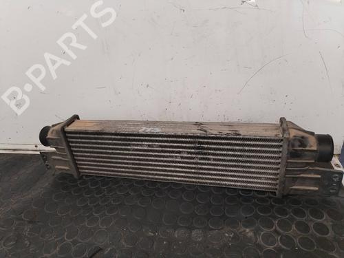 Intercooler SSANGYONG REXTON / REXTON II (GAB_) 2.7 Xdi (163 hp) 17504051