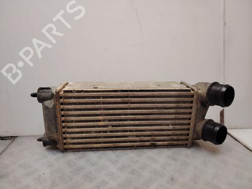 Intercooler Intercooler CITROËN BERLINGO MULTISPACE (B9) [2008-2026] 34168612 34168612