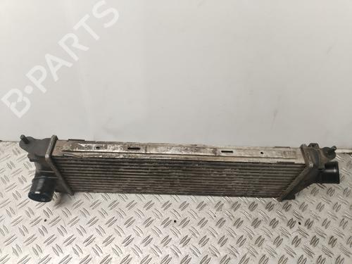 Intercooler NISSAN PRIMASTAR Van (X83) 2.0 dCi 90 | BP30946739M30