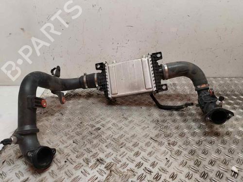 Intercooler ALFA ROMEO STELVIO (949_) 2.2 JTDM Q4 (949.AXE2A) (190 hp) 20501092