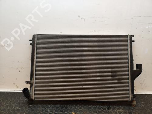 Køler DACIA SANDERO  | BP17501651M31 