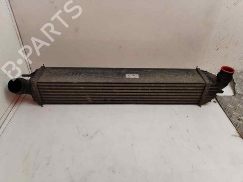 Used Intercooler RENAULT LAGUNA Coupe (DT0/1) 2.0 GT (204 hp) 19487349