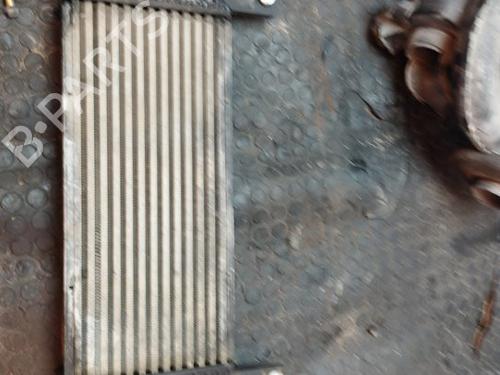 Used Intercooler NISSAN PATHFINDER III (R51) 2.5 dCi (174 hp) 17501875