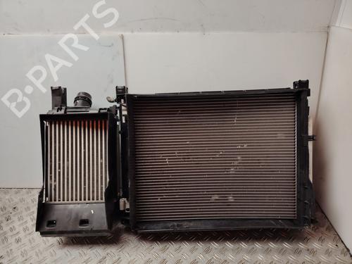 Used Front slam panel DACIA DOKKER MPV (KE_) [2012-2021]  30967011