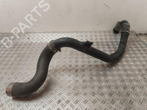 Pipe RENAULT KANGOO Express (FC0/1_) 1.9 dCi 4x4 (FC0V) | BP30944787M125