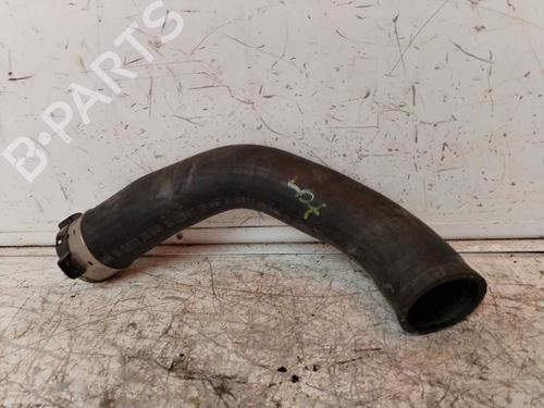 Used Pipe DACIA SANDERO II [2012-2025]  18467310