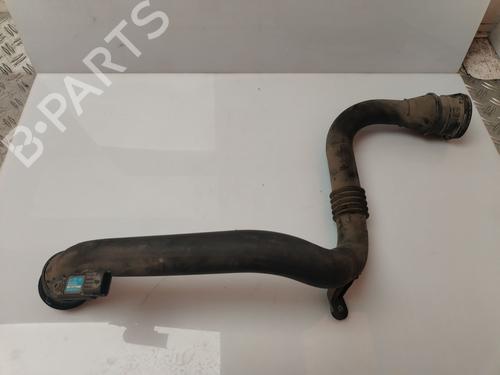 Rør RENAULT MEGANE III Coupe (DZ0/1_) [2008-2016]  30945999