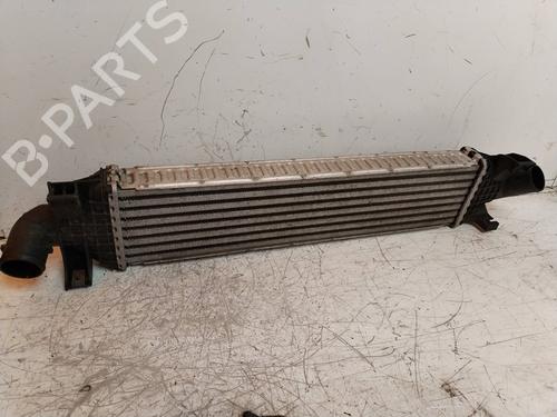 Ladeluftkühler für FORD C-MAX (DM2) 1.8 TDCi (115 hp) 17505792