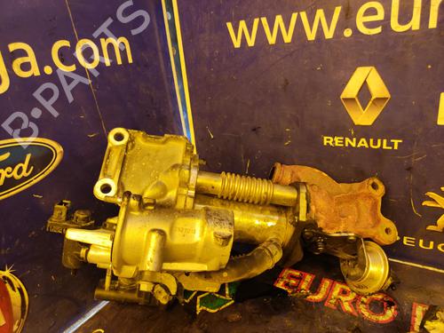 Egr RENAULT KANGOO Express (FW0/1_)  | BP17509020M69 