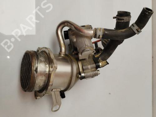 Egr RENAULT EXPRESS Box Body/MPV | BP30946870M69