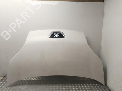 Hood PEUGEOT BIPPER (AA_)  | BP30943820C1 