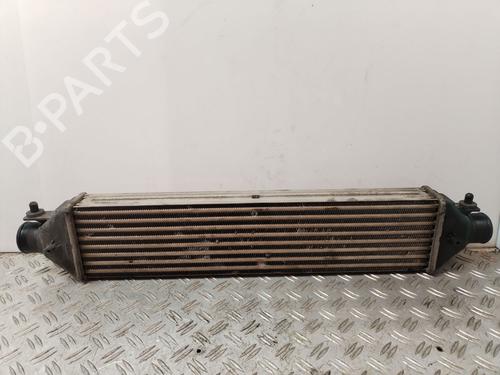 Intercooler FIAT DOBLO Cargo (263_) 1.3 D Multijet | BP30947072M30