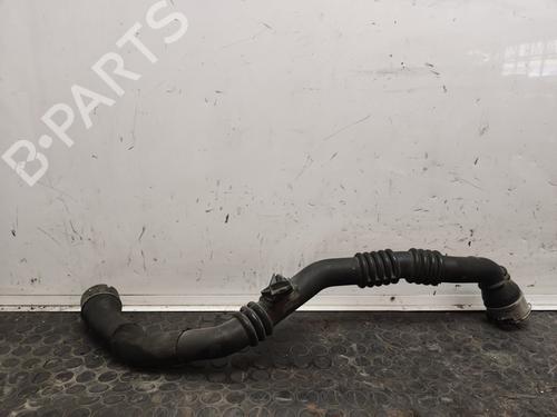 Pipe RENAULT CLIO IV (BH_) | BP17502723M125