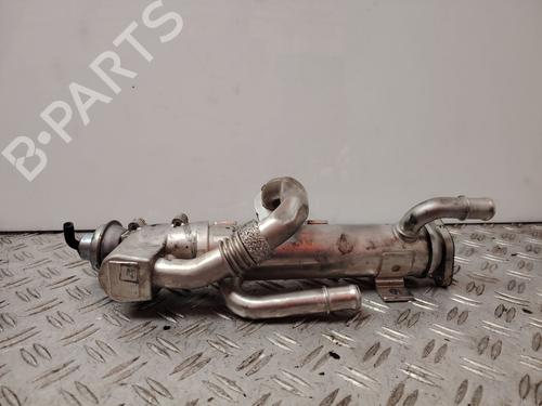 Egr AUDI A4 B7 Avant (8ED)  | BP31587072M69 