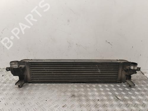 Used Intercooler NISSAN X-TRAIL II (T31) [2007-2018]  30945055