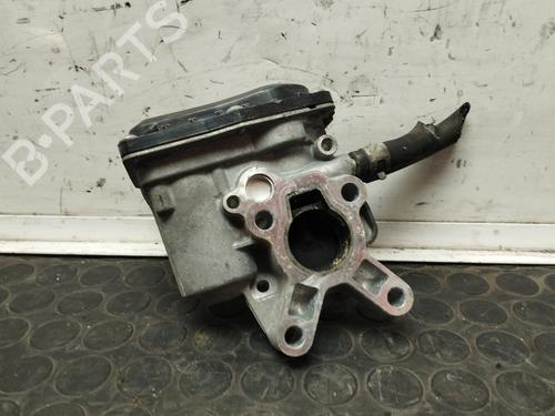 Egr NISSAN PATHFINDER III (R51) 2.5 dCi | BP17502950M69