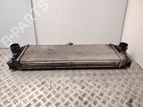Intercooler MERCEDES-BENZ SPRINTER 3,5-t Van (B906) 313 CDI (906.631, 906.633, 906.635, 906.637) | BP31124635M30 