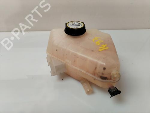 Expansion tank FORD FIESTA VI (CB1, CCN) 1.25 | BP30947134C120