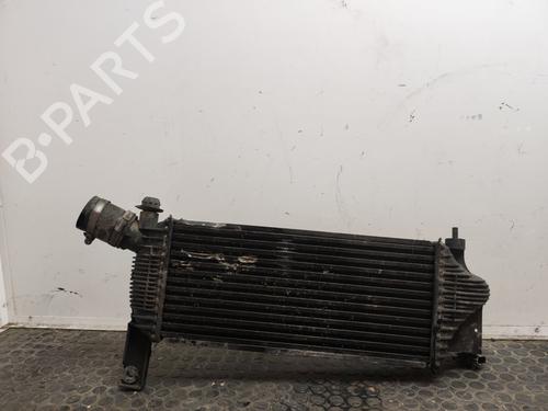 Intercooler NISSAN NAVARA NP300 (D40) 2.5 dCi | BP17501310M30