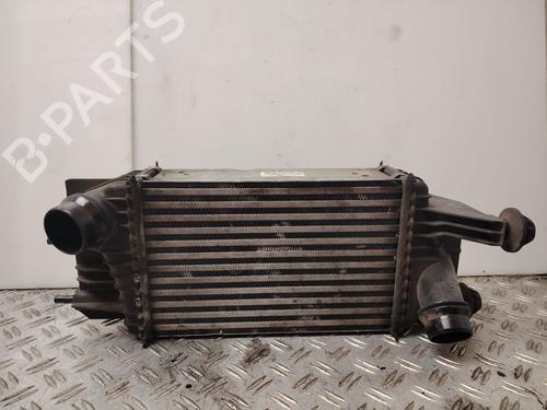 Intercooler Intercooler NISSAN NV200 / EVALIA Bus [2010-2026] 34225361 34225361