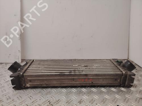 Intercooler FORD TRANSIT V363 Van (FCD, FDD) | BP31266733M30