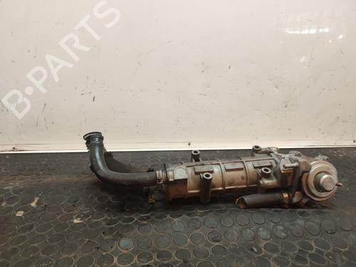 Egr IVECO DAILY IV Platform/Chassis  | BP17625050M69 