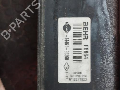 Intercooler NISSAN PATHFINDER III (R51) 2.5 dCi | BP17501875M30