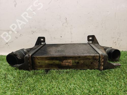 Intercooler NISSAN NT400 CABSTAR (F24M)  | BP17624955M30 