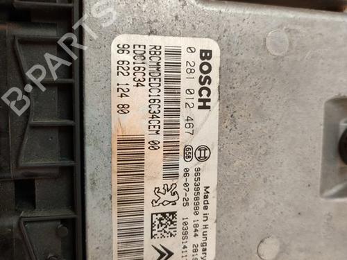 Engine control unit (ECU) PEUGEOT 207 (WA_, WC_) 1.6 HDi | BP17500876M57