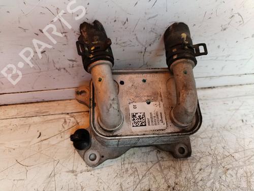 Oliekøler DACIA SANDERO II  | BP17505747M33 