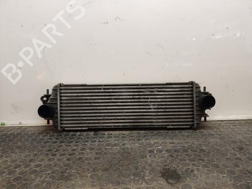 Used Intercooler RENAULT TRAFIC II Bus (JL) 1.9 dCI 100 (JL0C, JL0K) (101 hp) 17501211