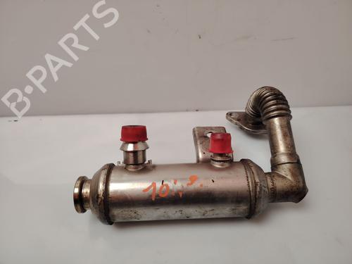 EGR Ventil FORD TOURNEO CONNECT [2002-2013]  31164666