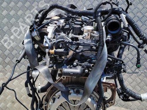 Used Engine Engine FORD C-MAX II (DXA/CB7, DXA/CEU) 1.0 EcoBoost (125 hp) 36419403 36419403