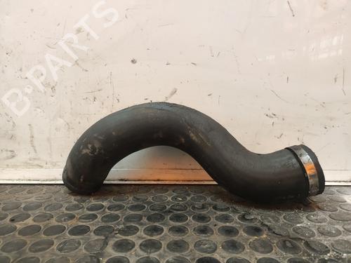 Used Pipe NISSAN PATHFINDER III (R51) 2.5 dCi (174 hp) 17502050