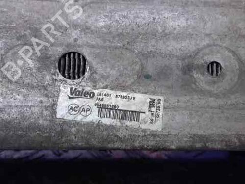 Used Intercooler PEUGEOT 307 (3A/C) [2000-2012]  17505896