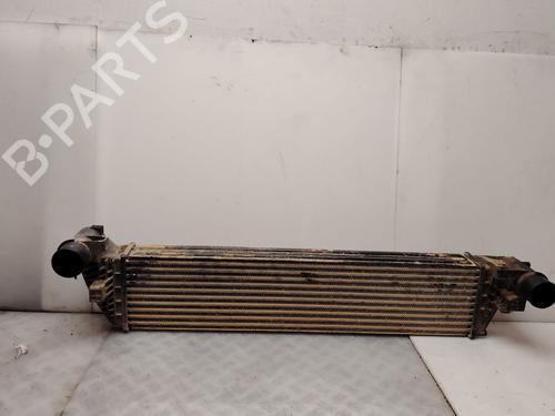 Intercooler radiateur Intercooler radiateur RENAULT LAGUNA II (BG0/1_) [2001-2007] 36003935 36003935