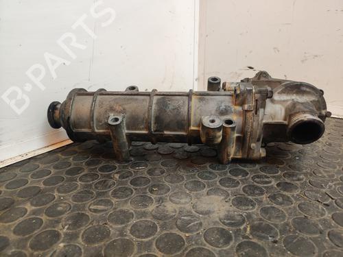 Egr IVECO DAILY IV Platform/Chassis  | BP17624901M69 