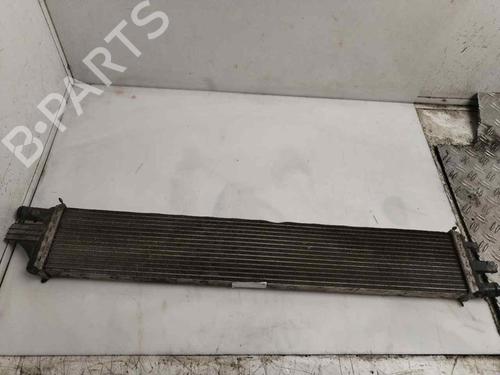 Intercooler RENAULT MASTER III Van (FV) 2.3 dCi 130 RWD (FV01, FV10, FV11, FV12) | BP20699013M30 
