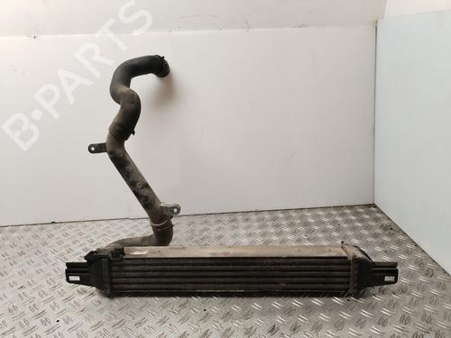 Intercooler CITROËN NEMO Box Body/MPV (AA_) | BP30947101M30