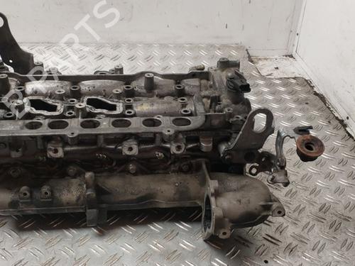 Cylinder head NISSAN X-TRAIL II (T31)  | BP30945348M5 