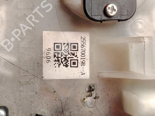 Switch RENAULT SCÉNIC III (JZ0/1_)  | BP30947343I30 