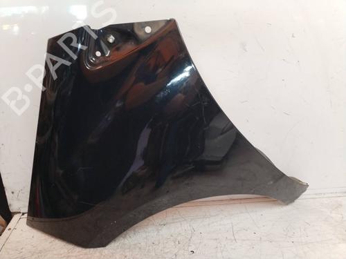 Left front fenders MERCEDES-BENZ A-CLASS (W169) | BP18296527C41