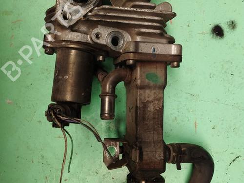 Egr RENAULT TRAFIC II Platform/Chassis (EL) 1.9 dCi 80 (EL0B) | BP17500562M69 