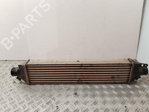 Used Intercooler FIAT DOBLO Cargo (263_) 1.3 D Multijet (90 hp) 30947072