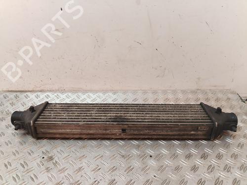 Intercooler FIAT DOBLO Cargo (263_) 1.3 D Multijet | BP30943596M30