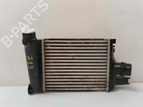 Intercooler DACIA DOKKER MPV (KE_) [2012-2021]  18905210