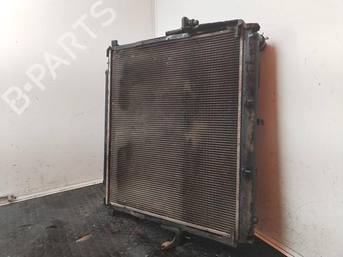 Køler NISSAN PATHFINDER III (R51) 2.5 dCi (174 hp) 17504353