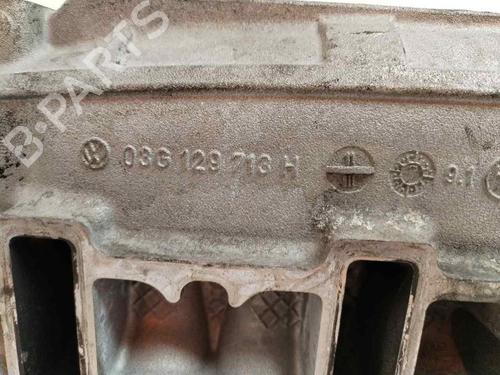 Ansaugkrümmer DODGE JOURNEY 2.0 CRD | BP19119725M70