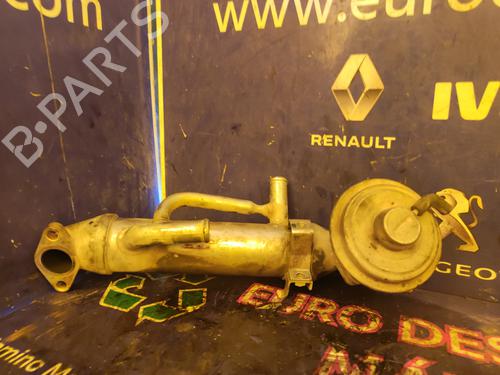 Egr FORD TRANSIT Van (FA_ _) 2.0 DI (FAE_, FAF_, FAG_) | BP17509032M69