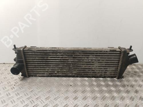 Intercooler NISSAN PRIMASTAR Van (X83) 2.0 dCi 90 | BP30946739M30